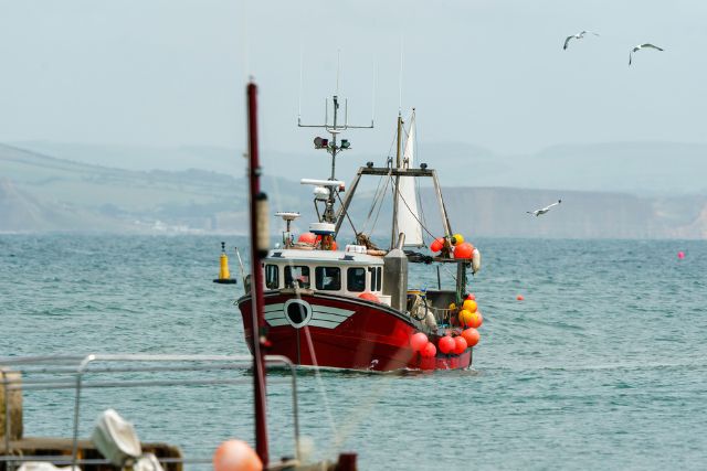 fishing boat in lyme regis