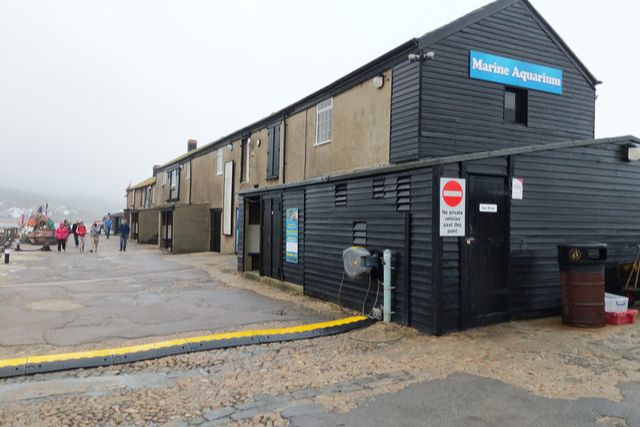 lyme regis marine aquarium building