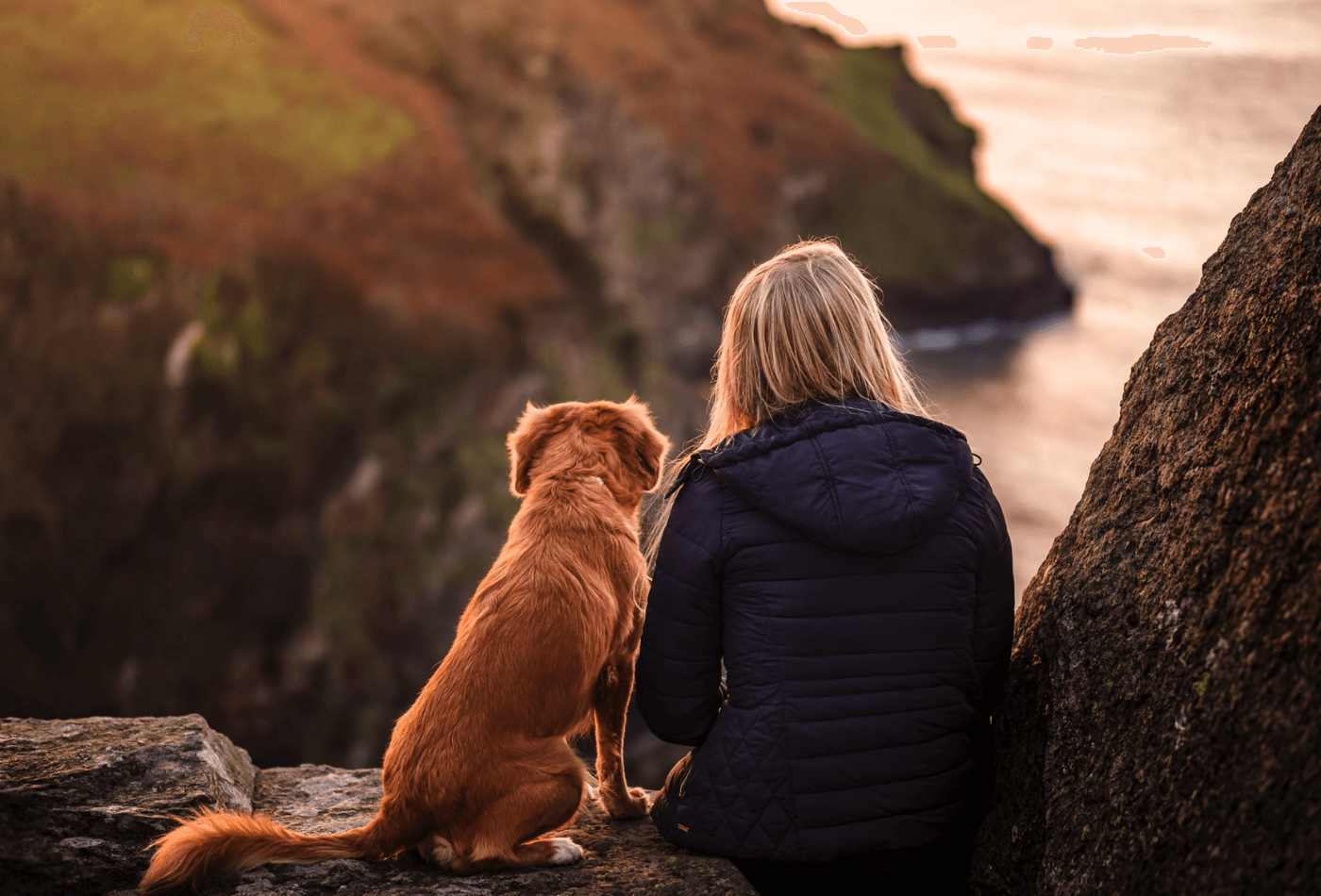 woman in black jacket sitting beside brown dog on rock near body of water