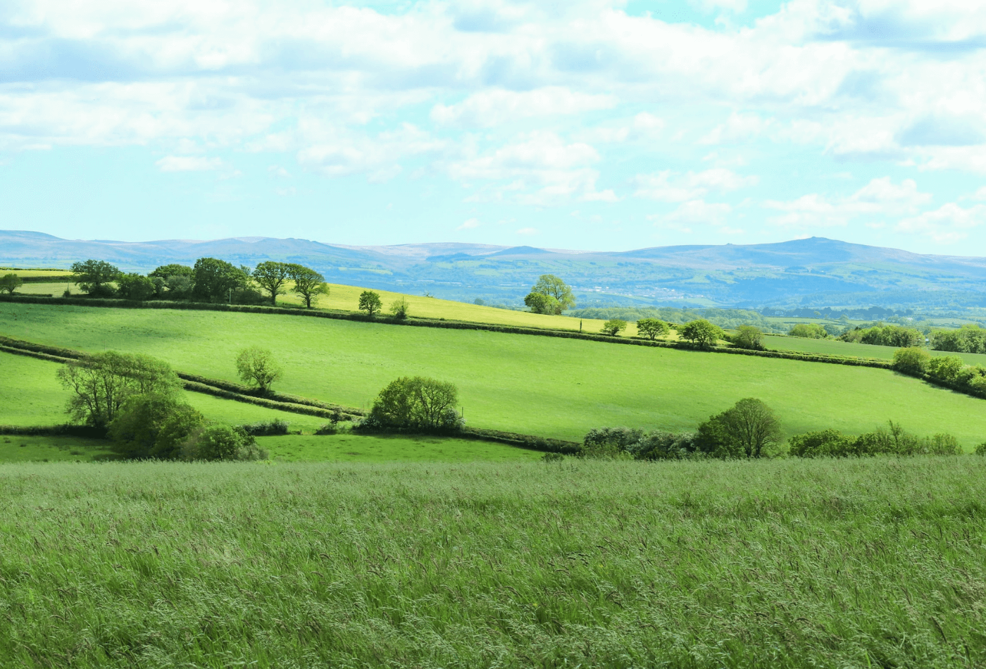 Rolling green hills in Devon