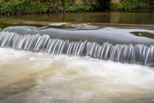 Close up of River Lim at Lyme Regis walk