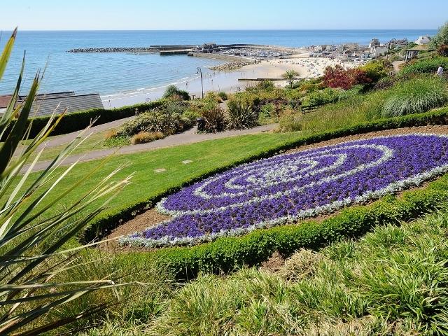 Lyme Regis beach and cobb captured from Langmoor gardens with ammonite shaped flower bed.