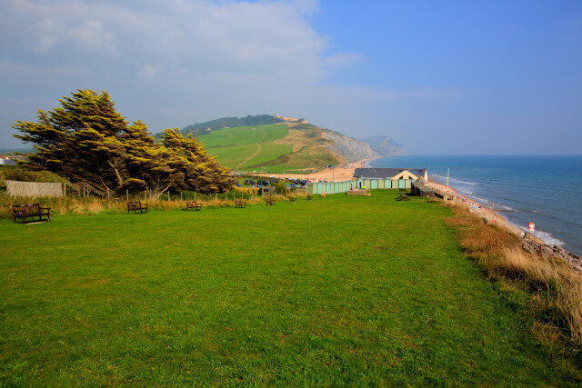Rolling greenery at Charmouth Beach with sea in view