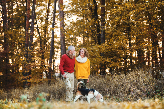 Senior couple with dog on countryside walk