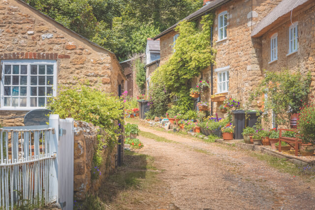 stone cottages in Abbotsbury