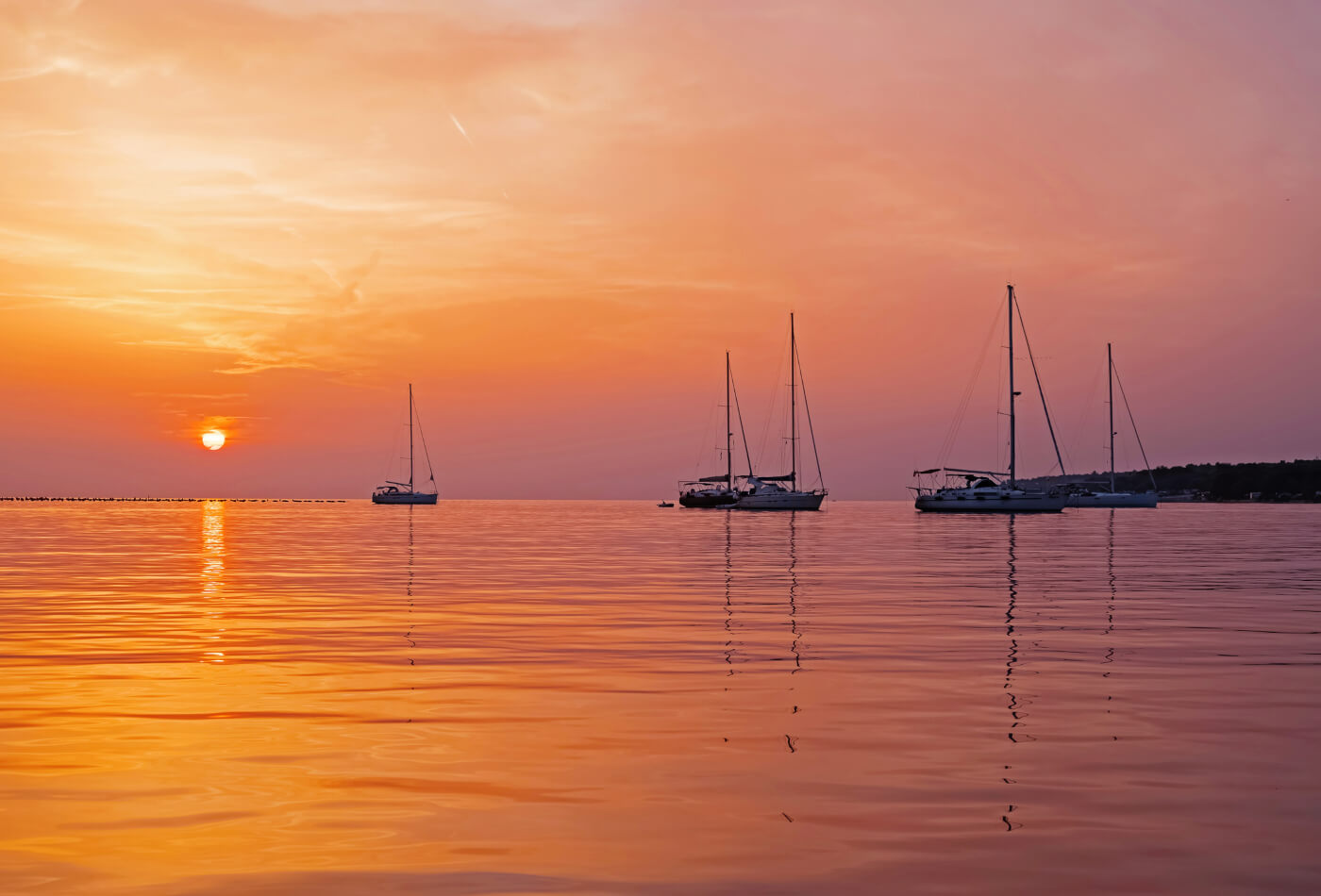 Dorset boat trips at sunset