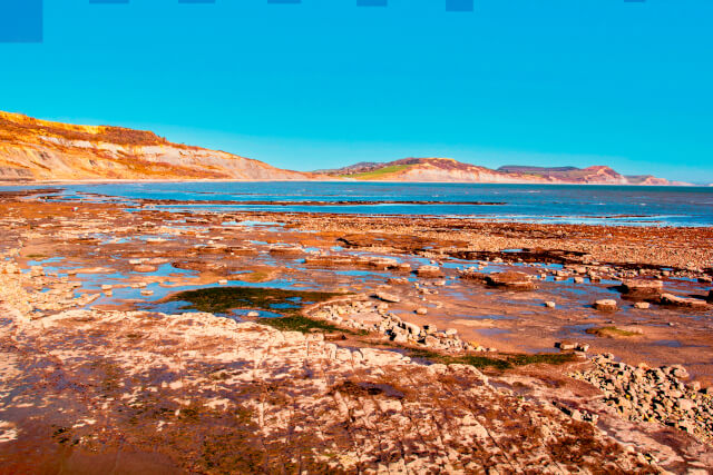 Fossil beach Lyme Regis