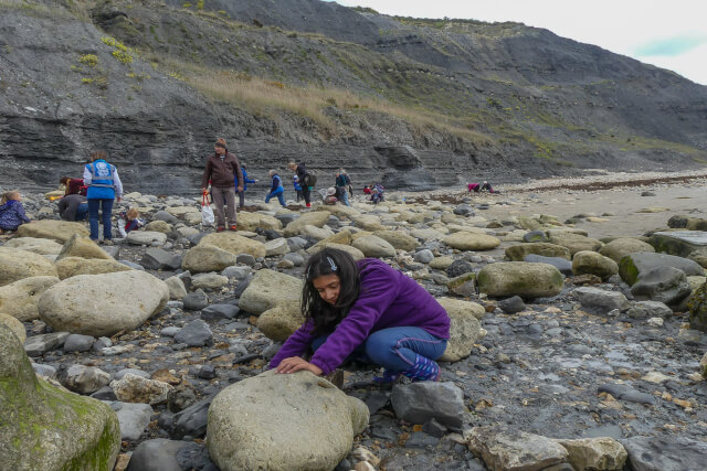 Group of people fossil hunting at Lyme Regis