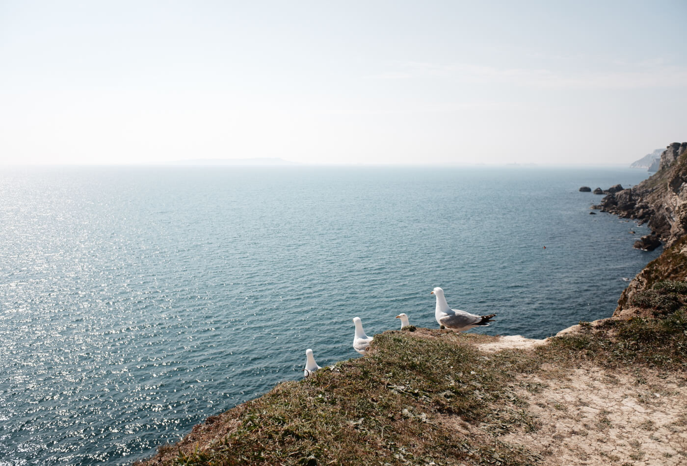 Beach from birds eye point of view