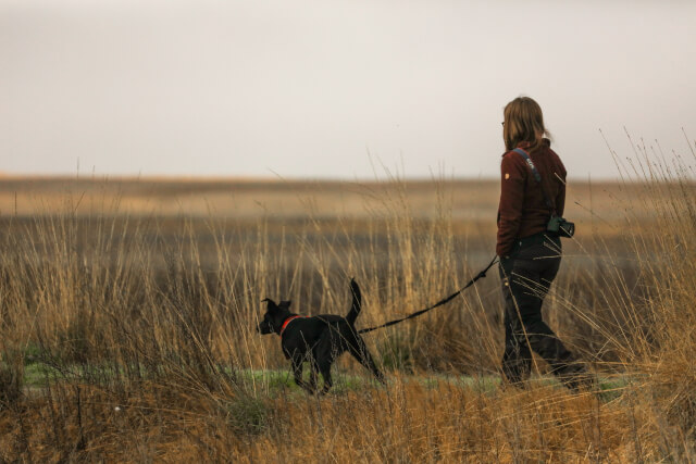 Woman and dog on countryside walk